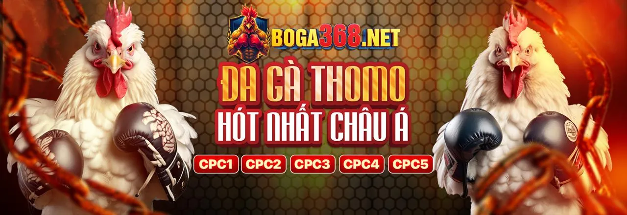 Đá gà trực tuyến BTY523 link vào